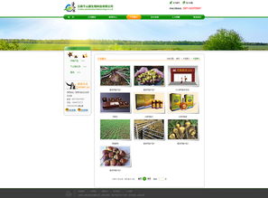 奧遠科技 云南領先的網站建設與App開發技術服務商
