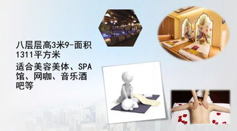 締造卓越 以國際標準打造物業(yè)文化經紀服務體系